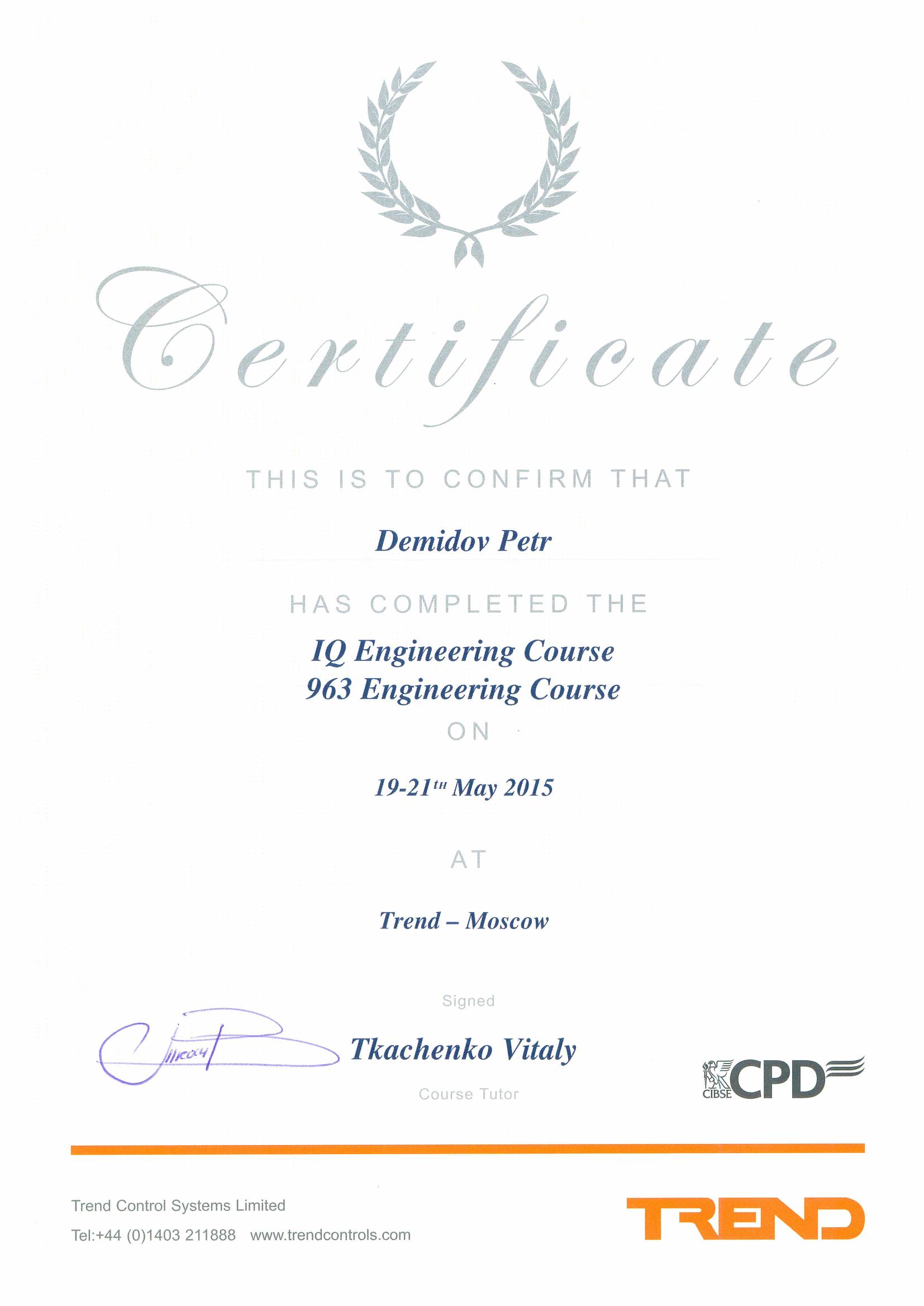 Сертификат Trend IQ / 963 Engineering, страница 1